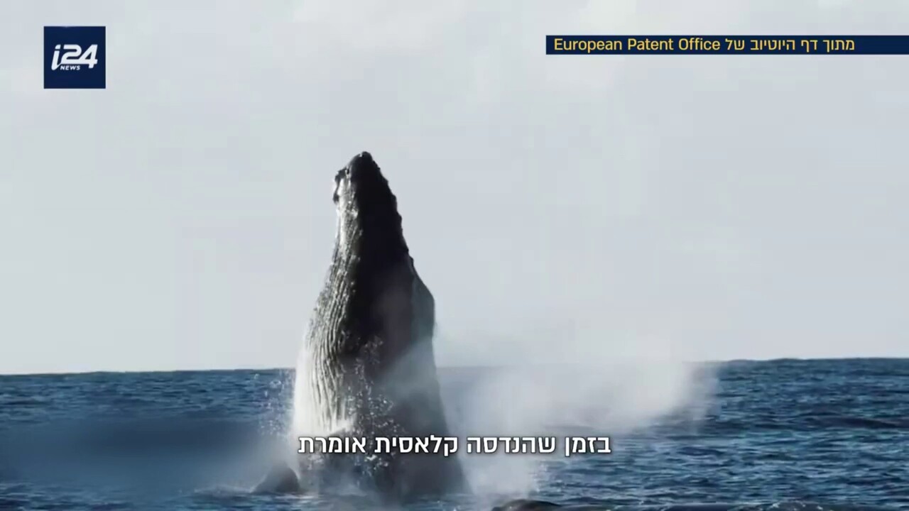 המהנדס לבש נוצות: כך הפכו לטאות, פרחים ולווייתנים למעצבי העתיד של האנושות | מיוחד לסופ"ש